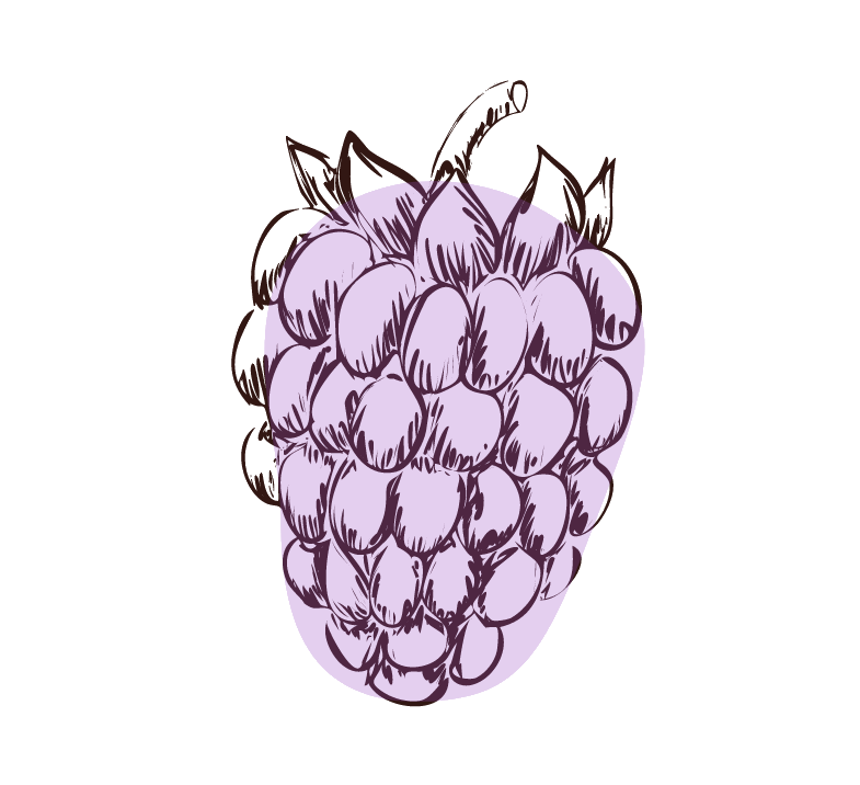 Invasive Species Program Kodiak Soil and Water Conservation District